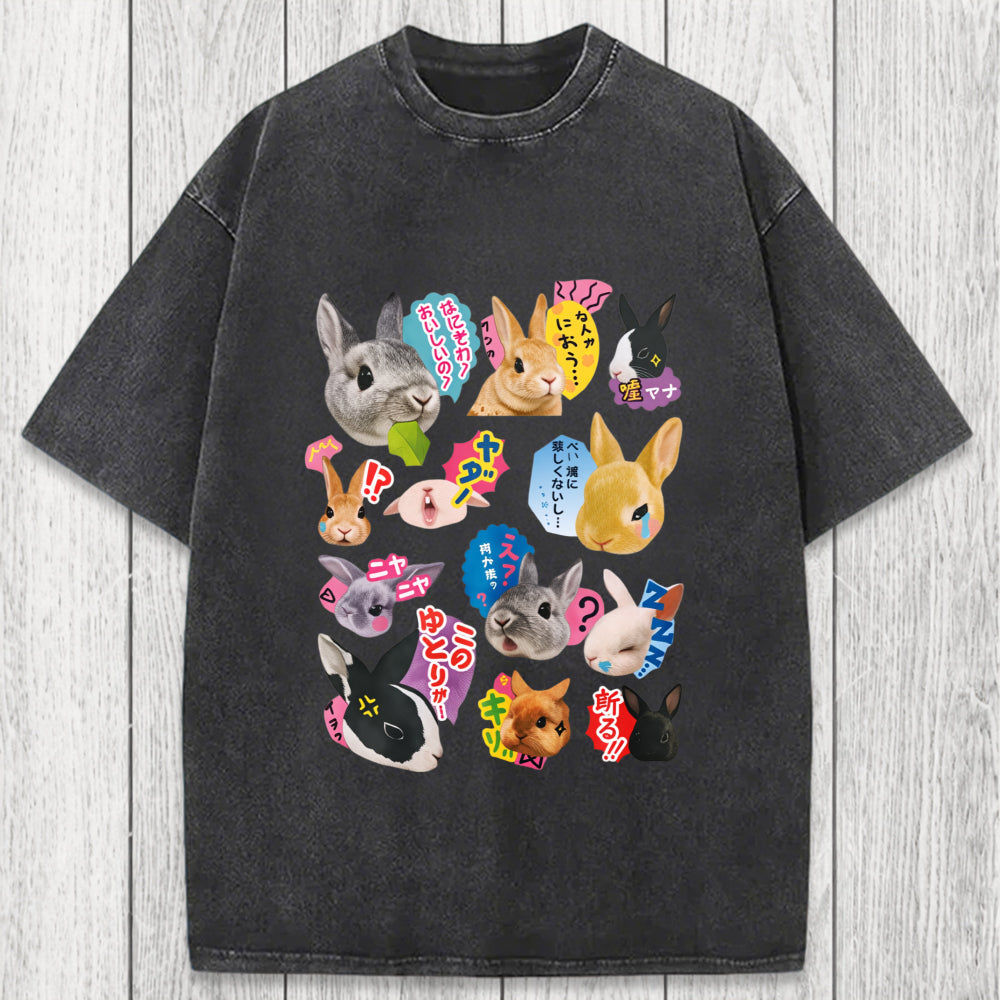 Tokyosol Japanese Bunny Washed T-Shirt