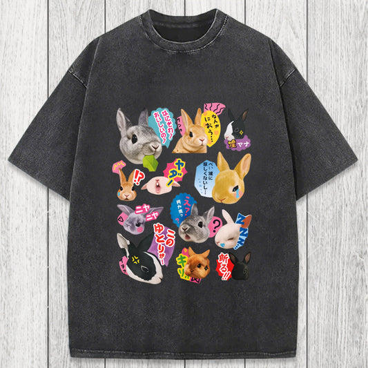 Tokyosol Japanese Bunny Washed T-Shirt