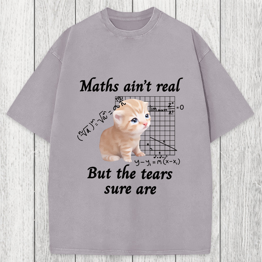 Tokyosol Maths Ain't Real Cat Meme Washed T-Shirt
