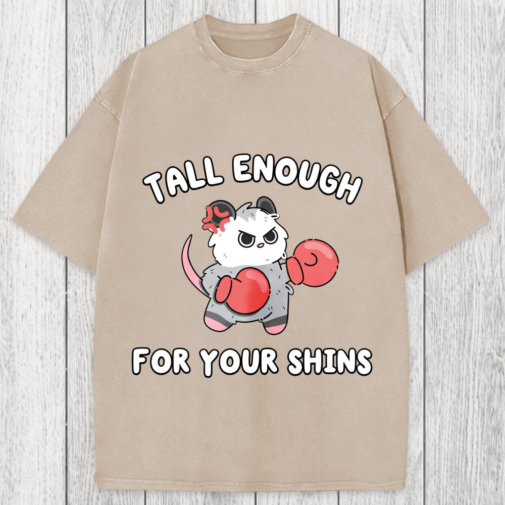 Tokyosol Tall Enough For Your Shins Washed T-Shirt