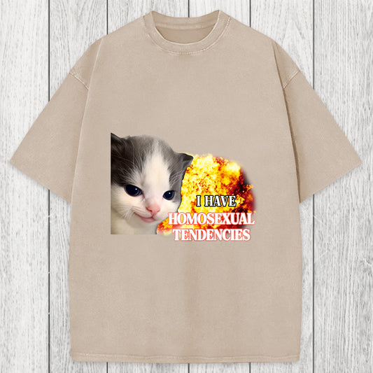 Tokyosol I Have Homosexual Tendencies Evil Kitty Meme Washed T-Shirt