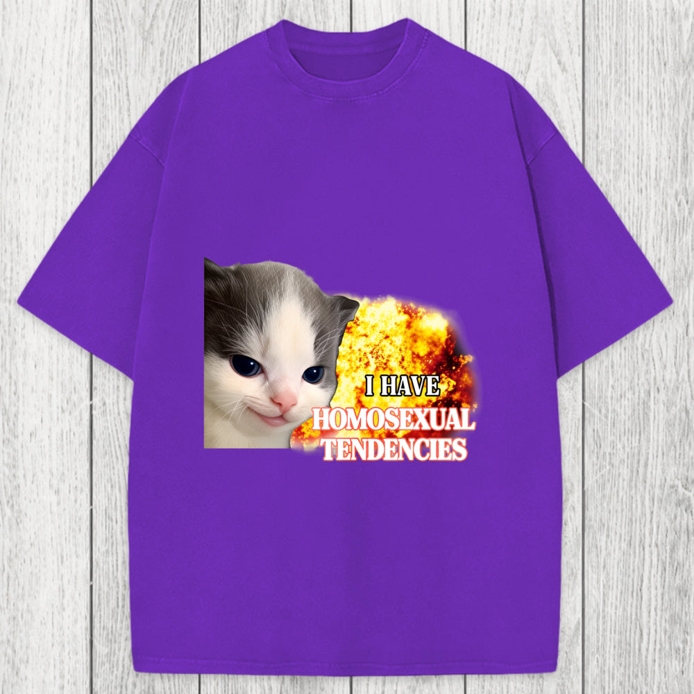 Tokyosol I Have Homosexual Tendencies Evil Kitty Meme Washed T-Shirt