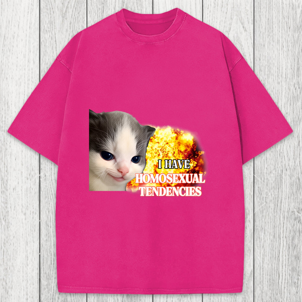 Tokyosol I Have Homosexual Tendencies Evil Kitty Meme Washed T-Shirt