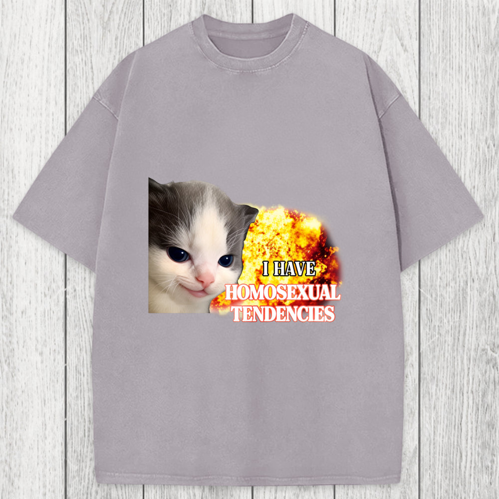 Tokyosol I Have Homosexual Tendencies Evil Kitty Meme Washed T-Shirt