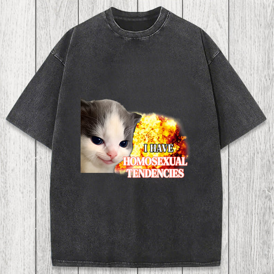 Tokyosol I Have Homosexual Tendencies Evil Kitty Meme Washed T-Shirt