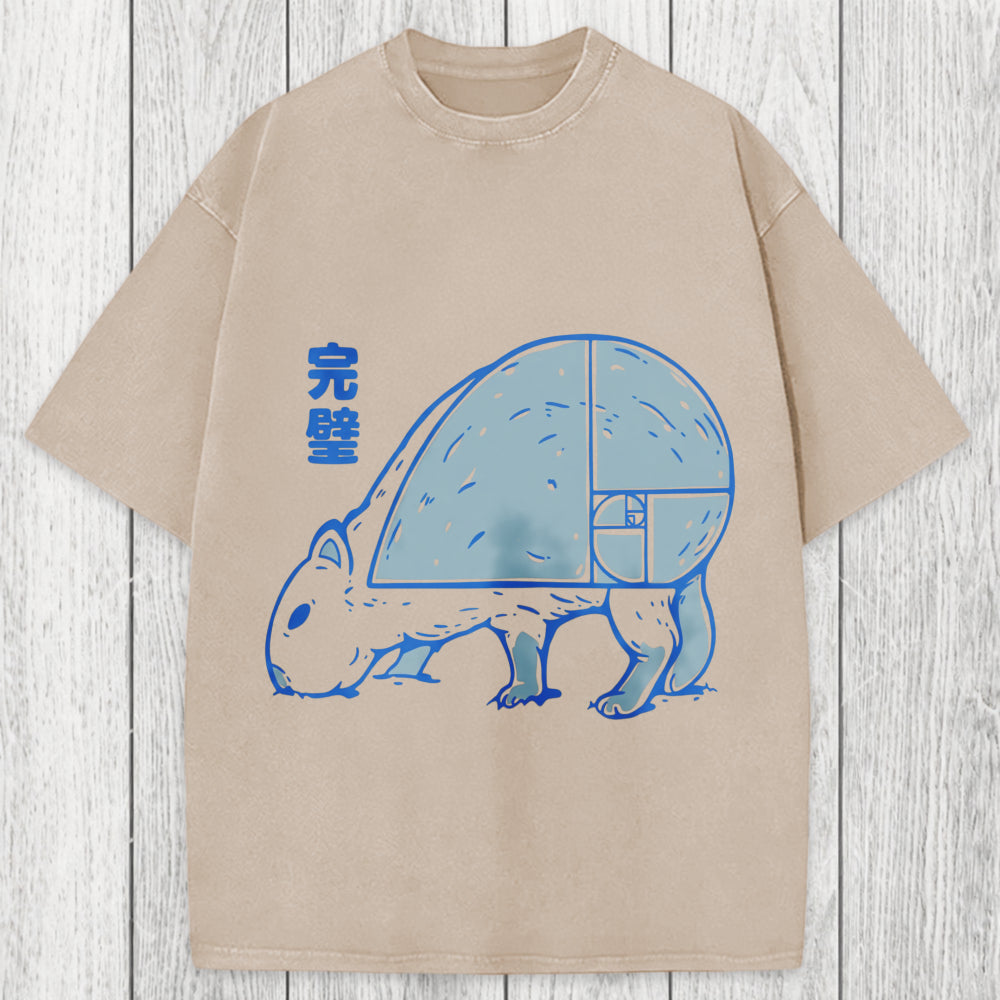 Tokyosol Capy Perfect Butt Washed T-Shirt