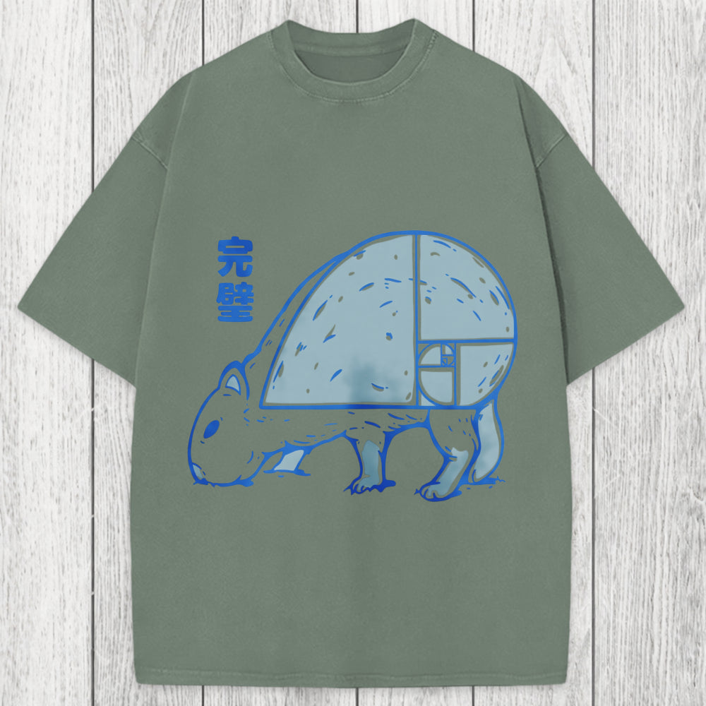 Tokyosol Capy Perfect Butt Washed T-Shirt