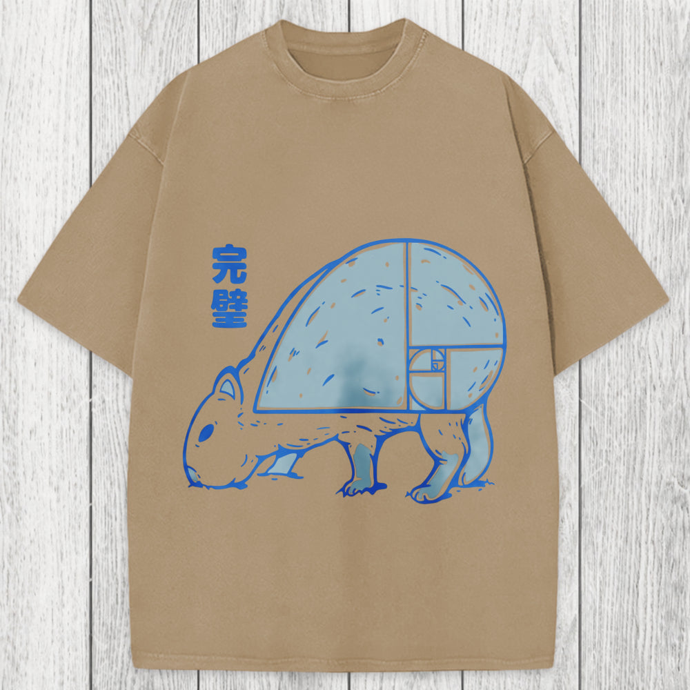 Tokyosol Capy Perfect Butt Washed T-Shirt
