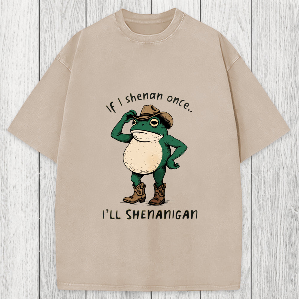 Tokyosol If I Shenan Once Funny Frog Washed T-Shirt