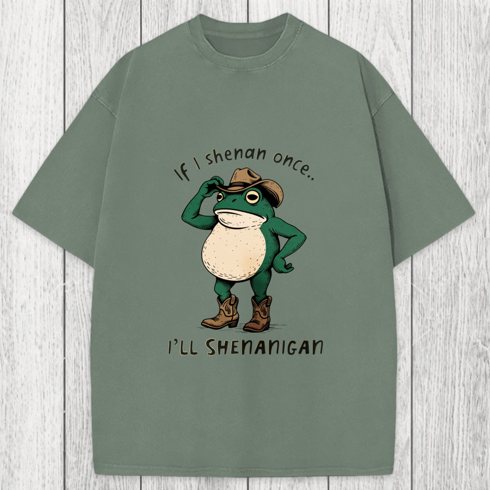 Tokyosol If I Shenan Once Funny Frog Washed T-Shirt