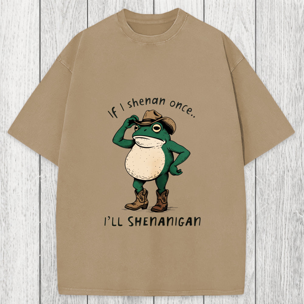 Tokyosol If I Shenan Once Funny Frog Washed T-Shirt
