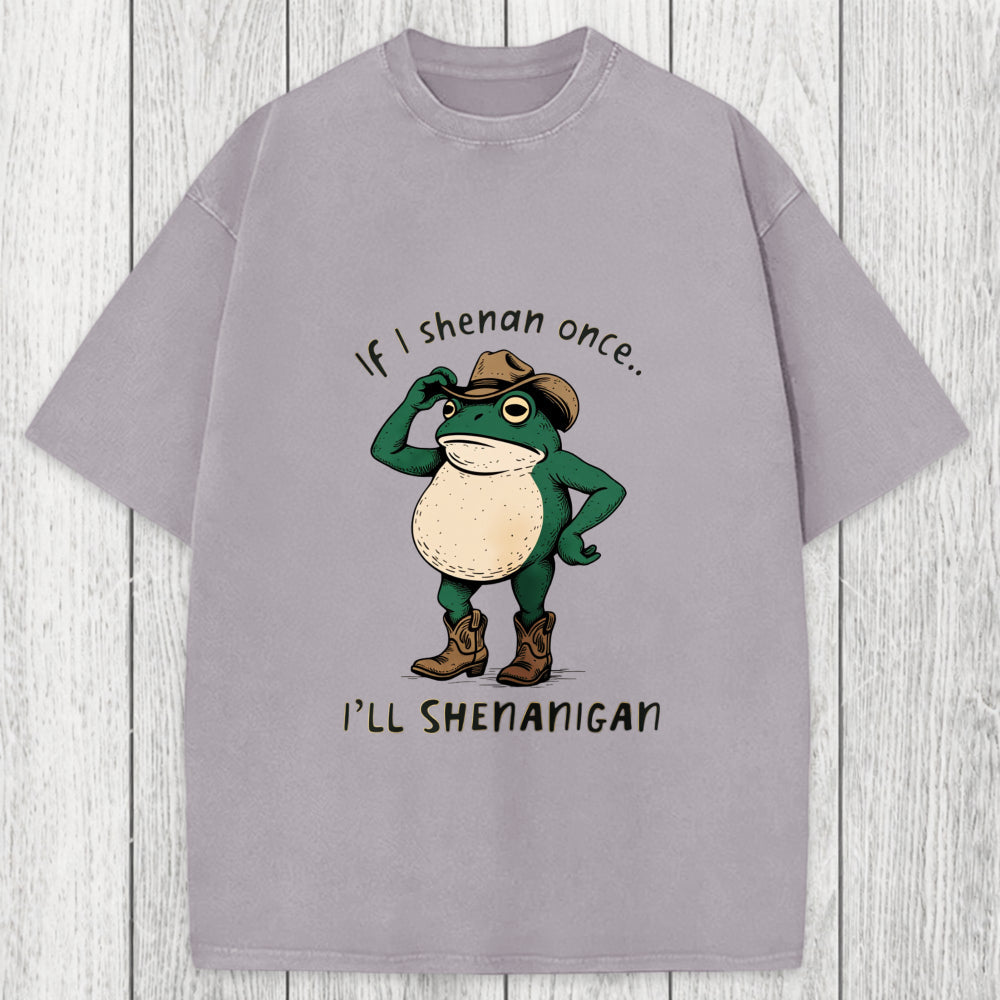 Tokyosol If I Shenan Once Funny Frog Washed T-Shirt