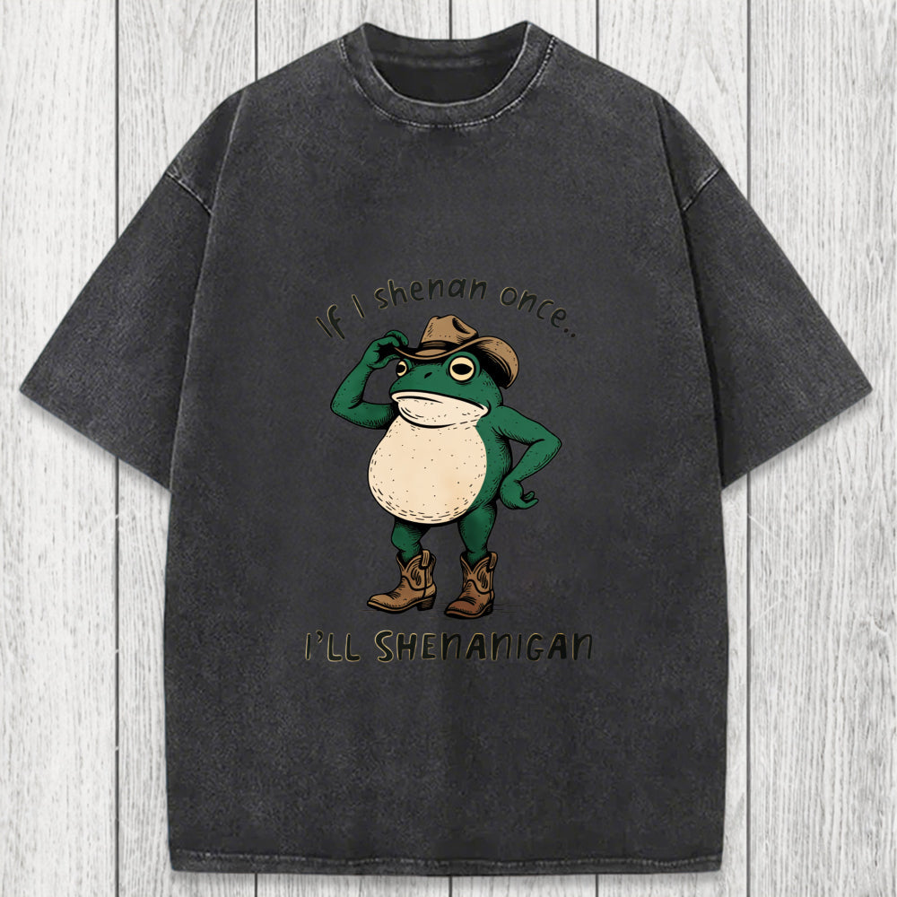 Tokyosol If I Shenan Once Funny Frog Washed T-Shirt