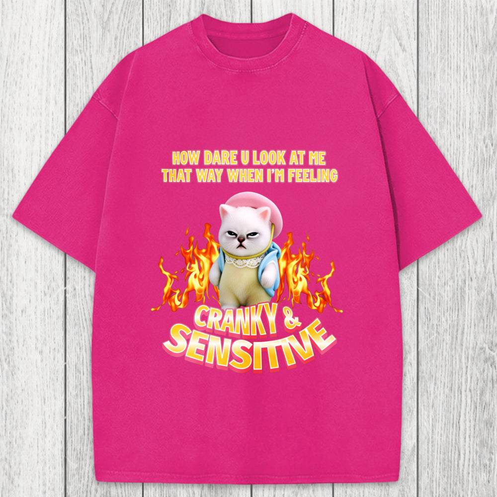 Tokyosol Cranky Kitty Washed T-Shirt