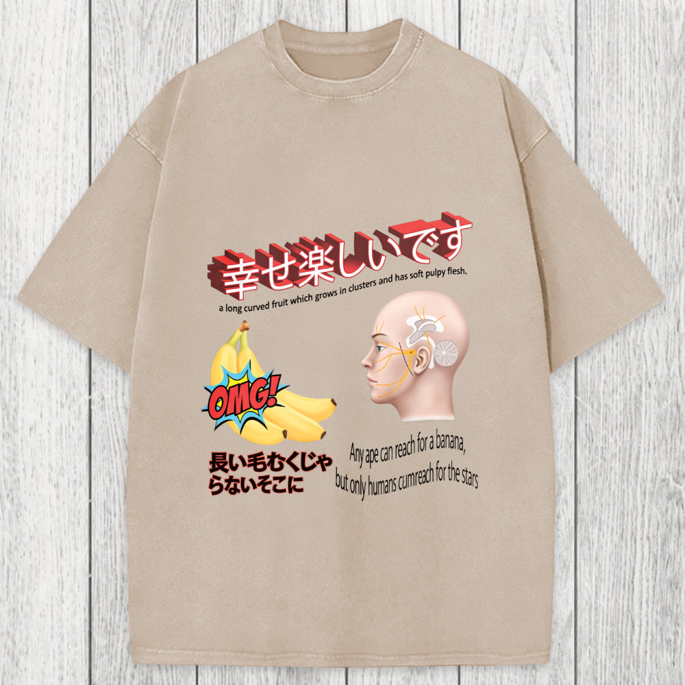 Tokyosol Japanese Absurd Meme Washed T-Shirt