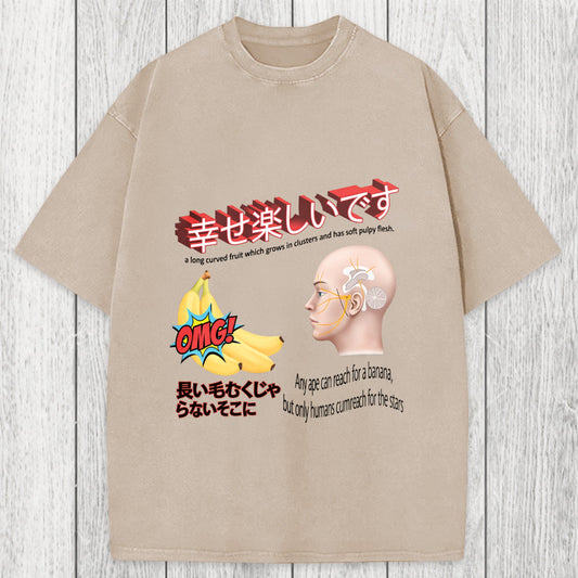 Tokyosol Japanese Absurd Meme Washed T-Shirt