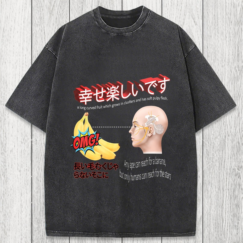 Tokyosol Japanese Absurd Meme Washed T-Shirt