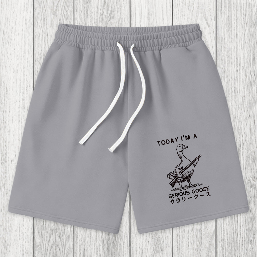 Tokyosol Serious Stupid Goose Washed Shorts