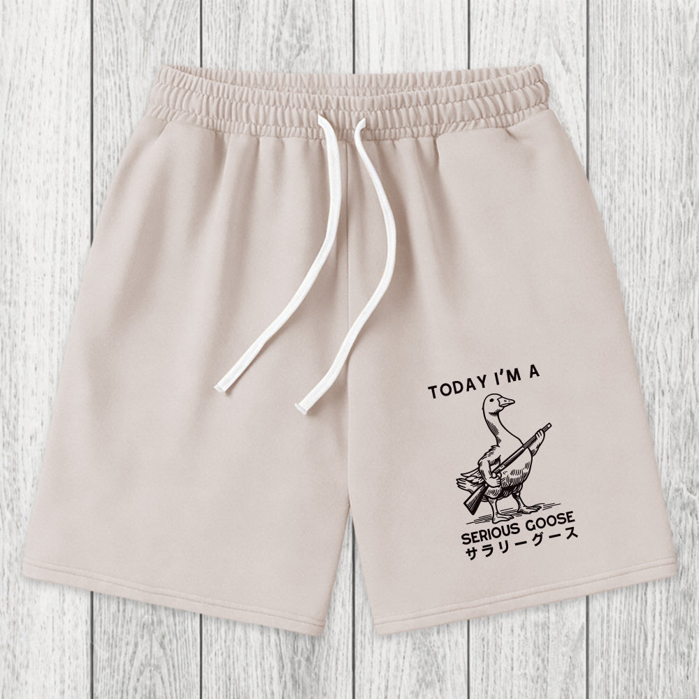 Tokyosol Serious Stupid Goose Washed Shorts