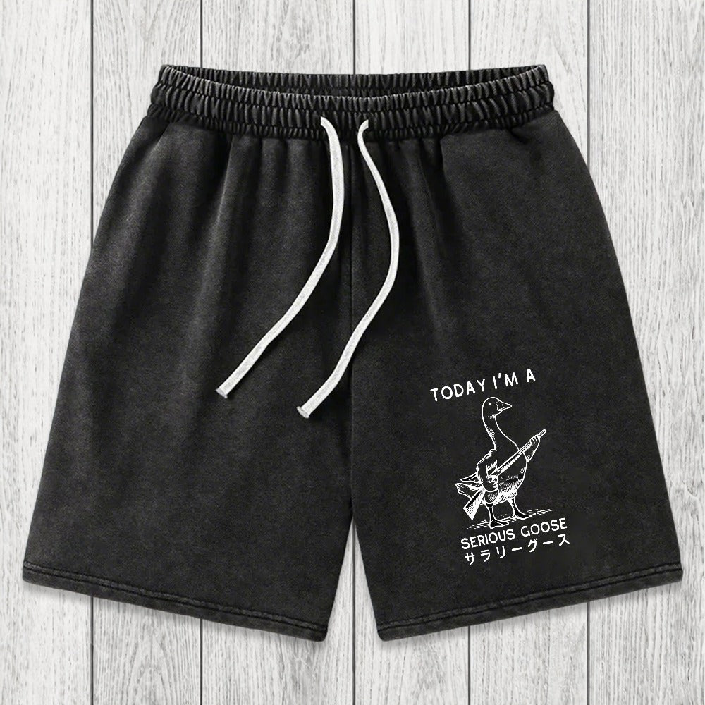 Tokyosol Serious Stupid Goose Washed Shorts