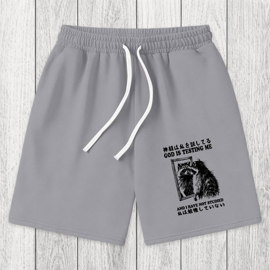 Tokyosol Raccoon Not Studied Washed Shorts