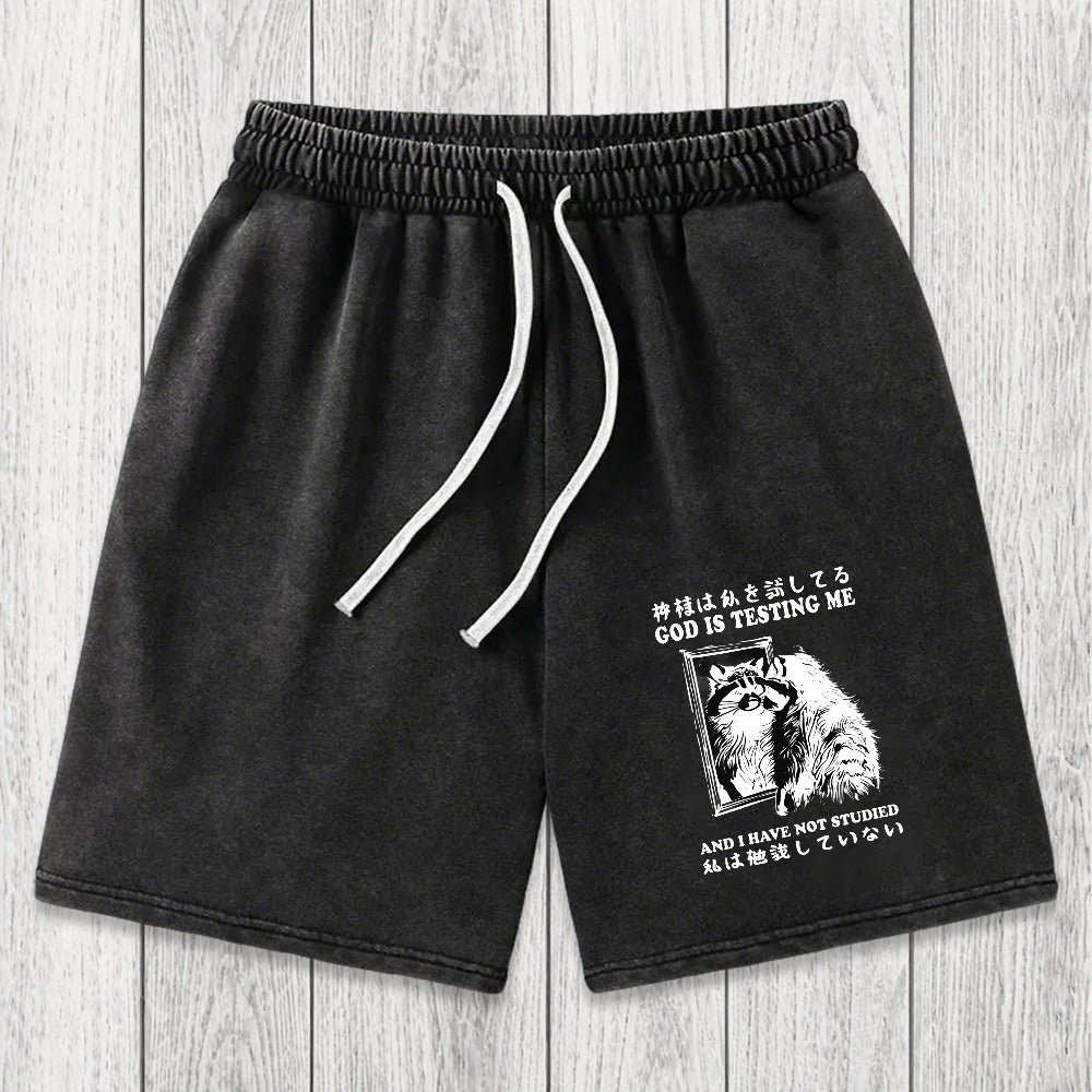 Tokyosol Raccoon Not Studied Washed Shorts