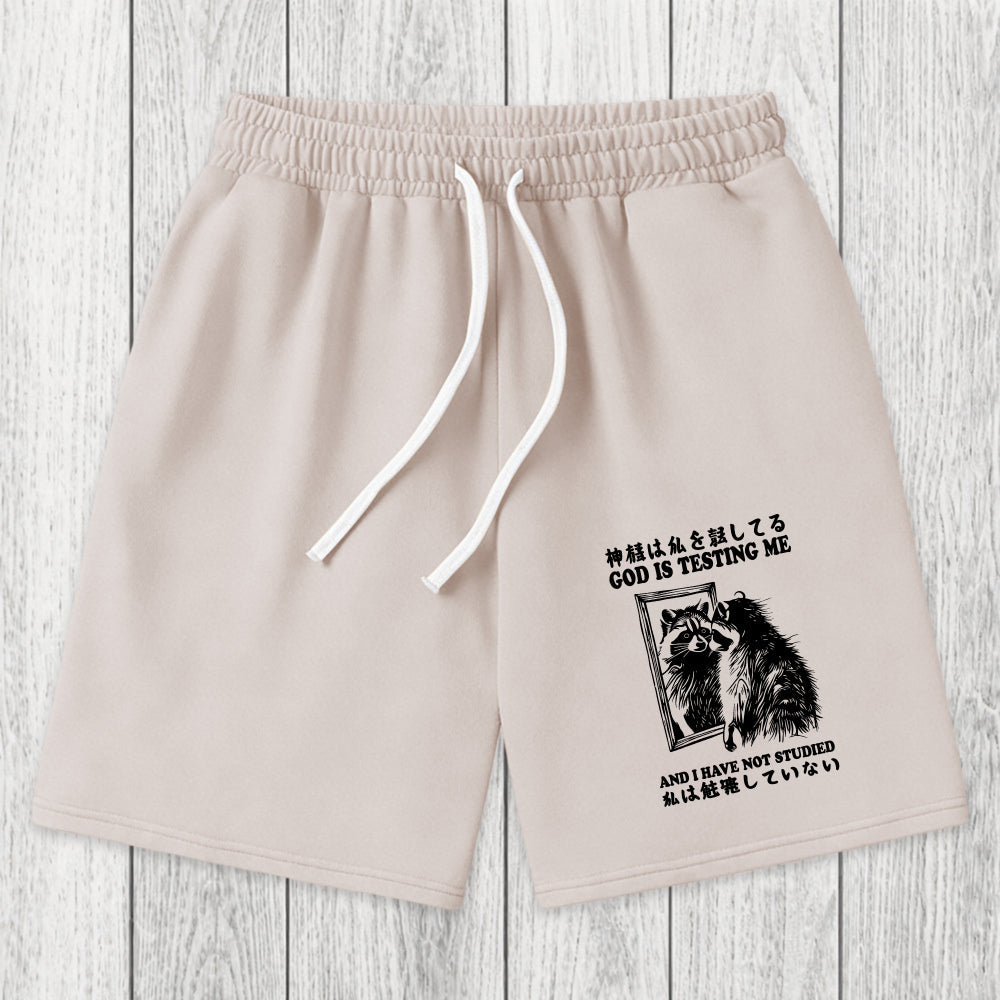Tokyosol Raccoon Not Studied Washed Shorts