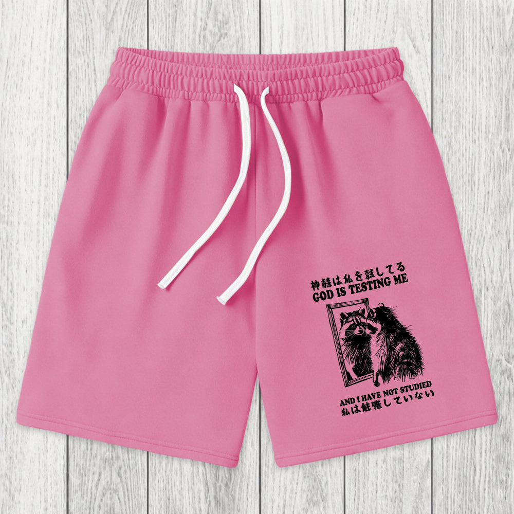Tokyosol Raccoon Not Studied Washed Shorts