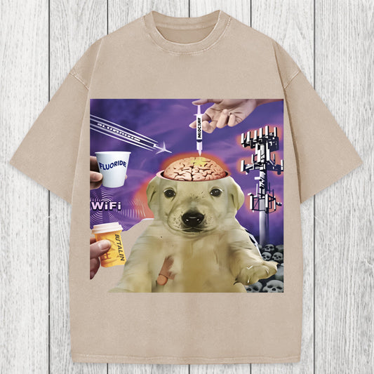 Tokyosol Brainwashed Jotchua Meme Washed T-Shirt