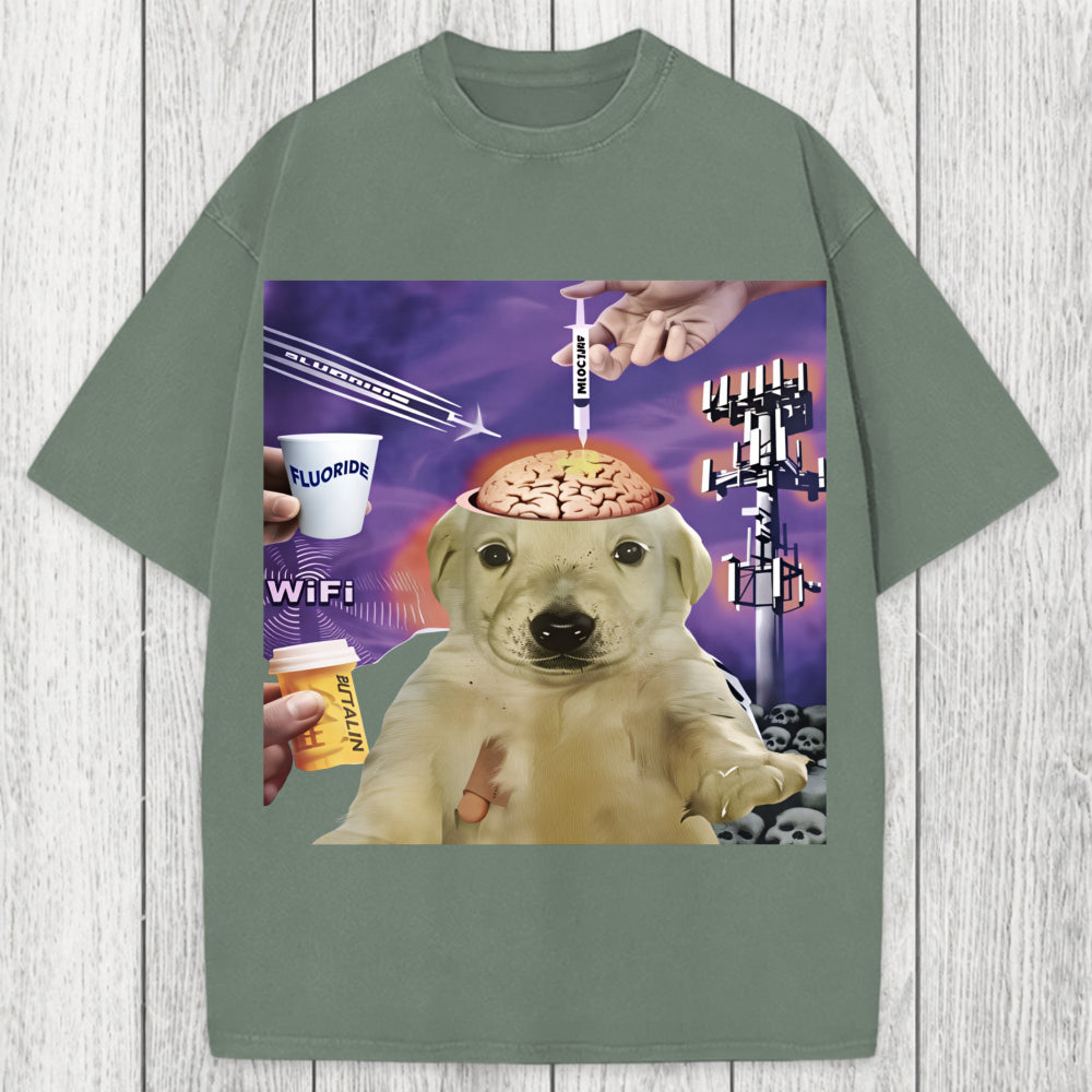 Tokyosol Brainwashed Jotchua Meme Washed T-Shirt