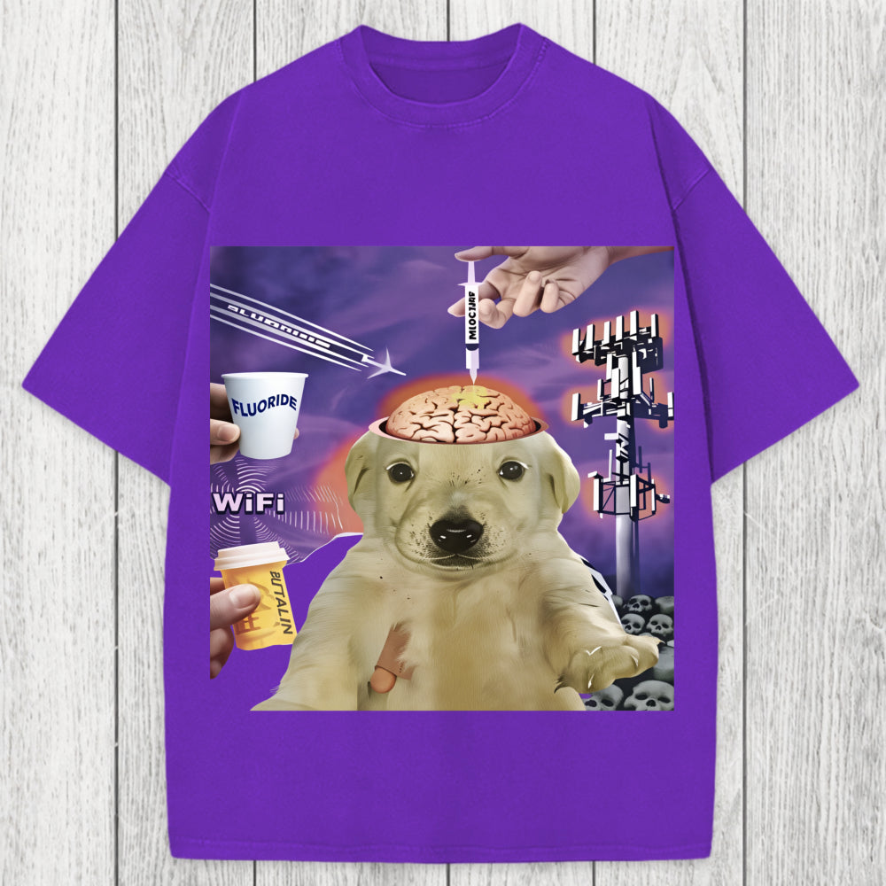 Tokyosol Brainwashed Jotchua Meme Washed T-Shirt
