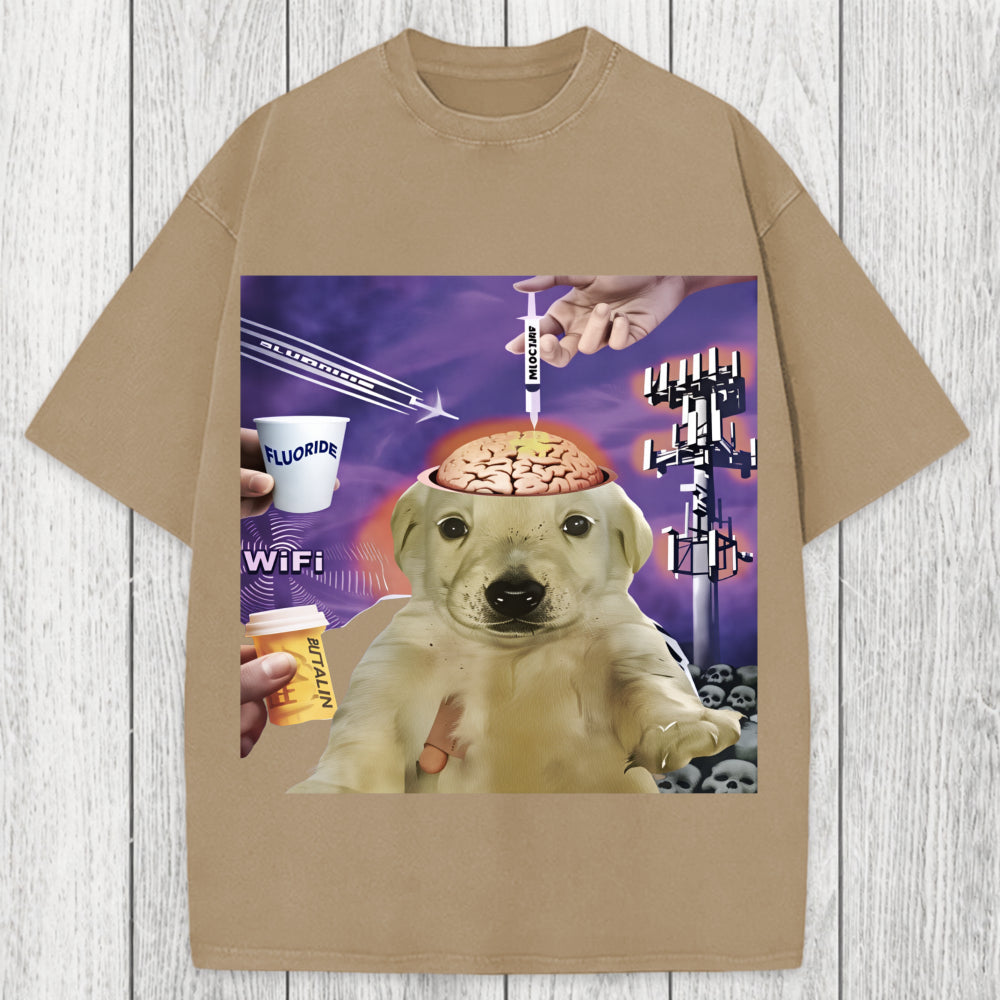Tokyosol Brainwashed Jotchua Meme Washed T-Shirt