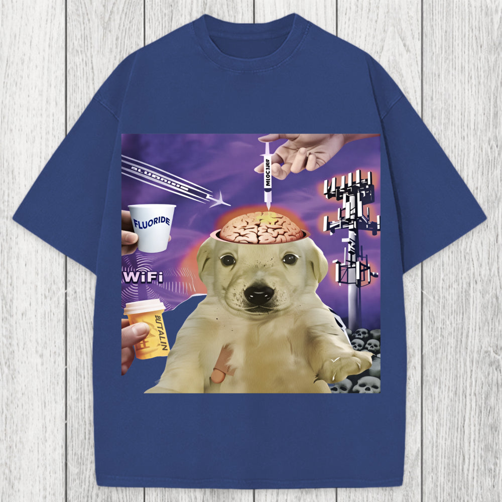 Tokyosol Brainwashed Jotchua Meme Washed T-Shirt
