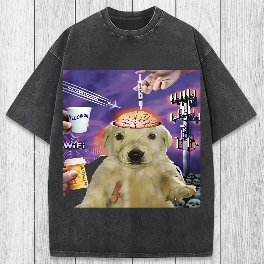 Tokyosol Brainwashed Jotchua Meme Washed T-Shirt