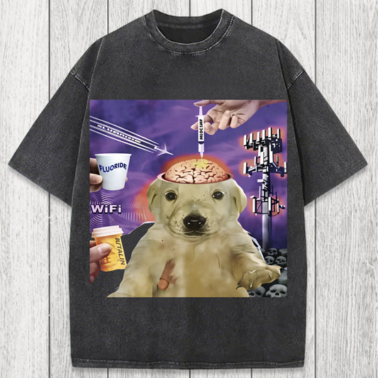 Tokyosol Brainwashed Jotchua Meme Washed T-Shirt