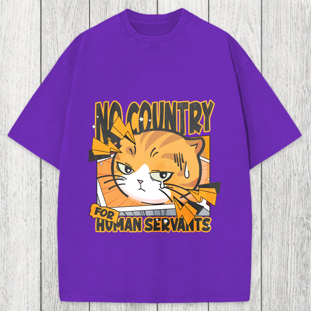 Tokyosol No Country For Human Servants Washed T-Shirt