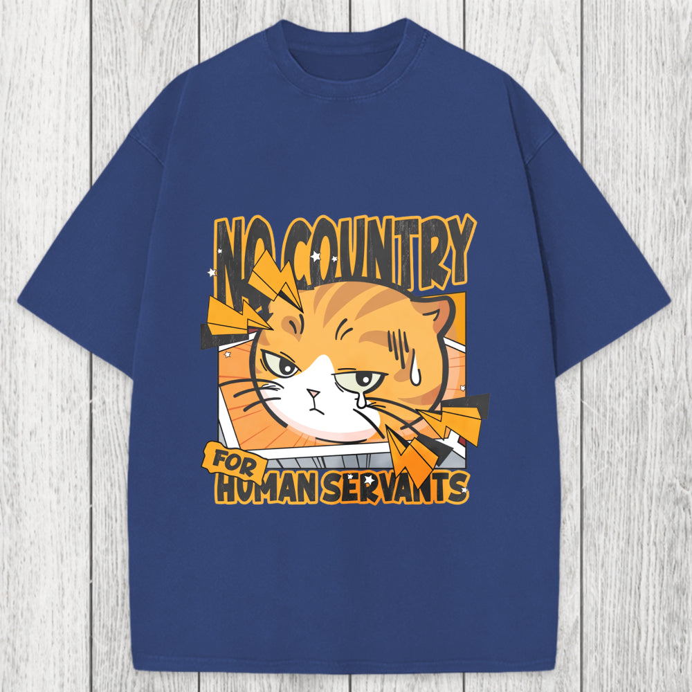 Tokyosol No Country For Human Servants Washed T-Shirt
