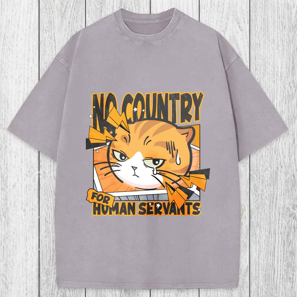 Tokyosol No Country For Human Servants Washed T-Shirt