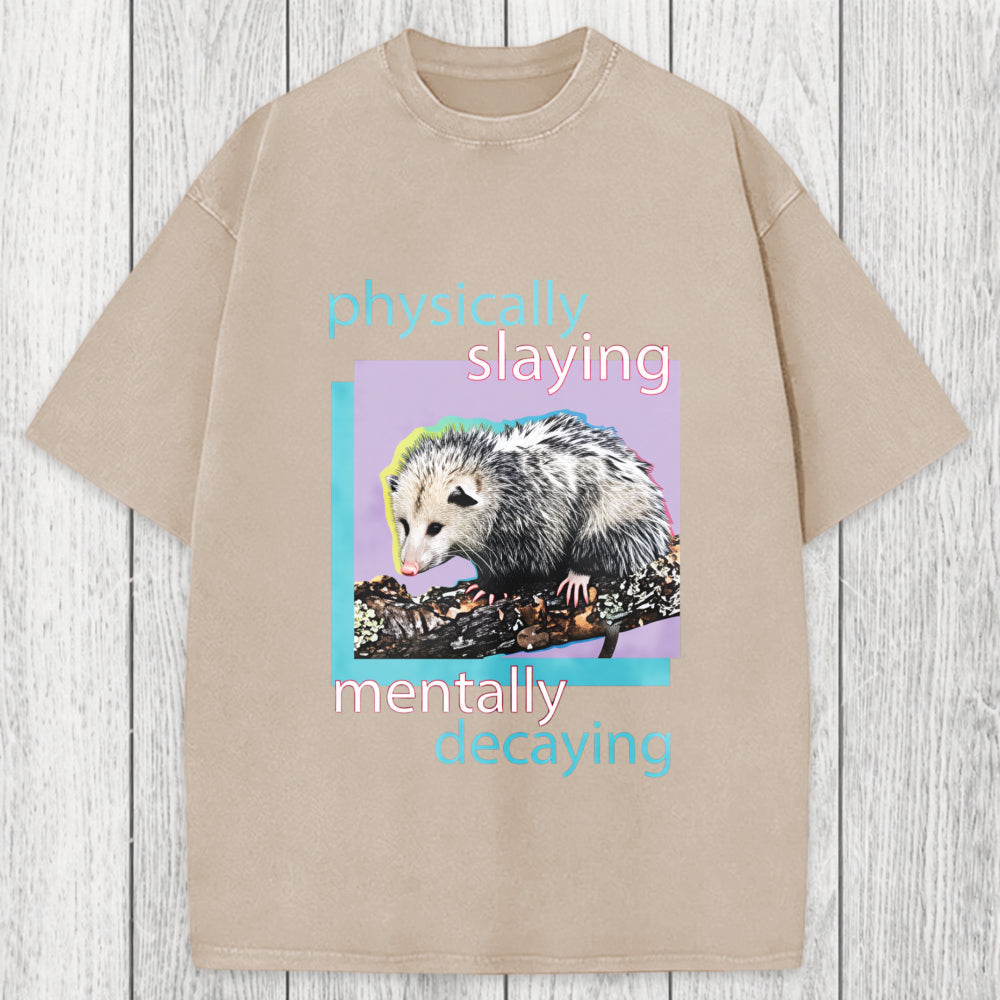 Tokyosol Physically Slaying Mentally Decaying Washed T-Shirt