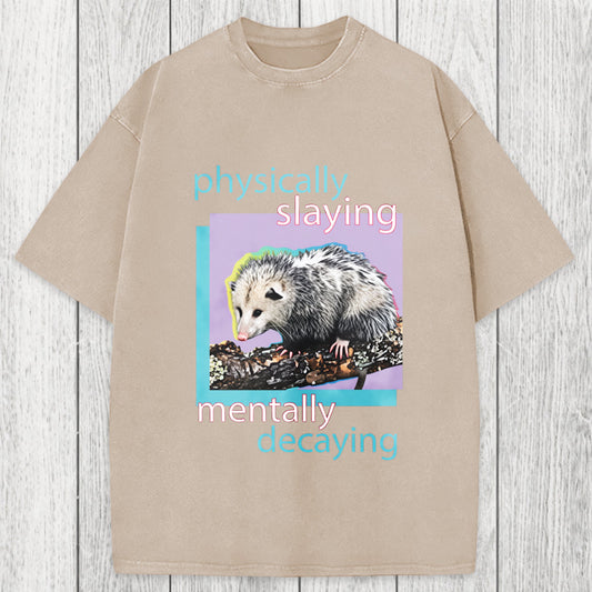 Tokyosol Physically Slaying Mentally Decaying Washed T-Shirt