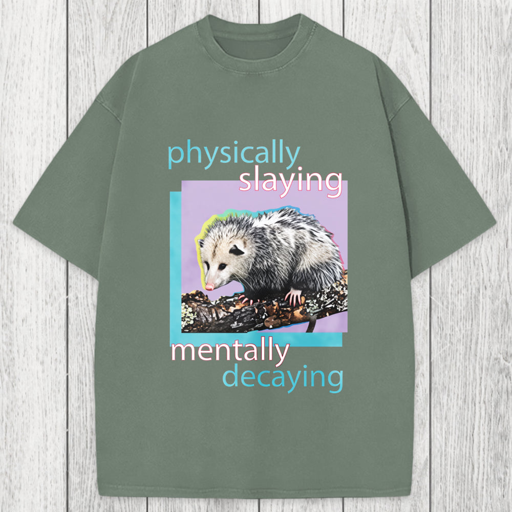 Tokyosol Physically Slaying Mentally Decaying Washed T-Shirt