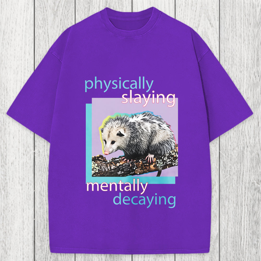 Tokyosol Physically Slaying Mentally Decaying Washed T-Shirt