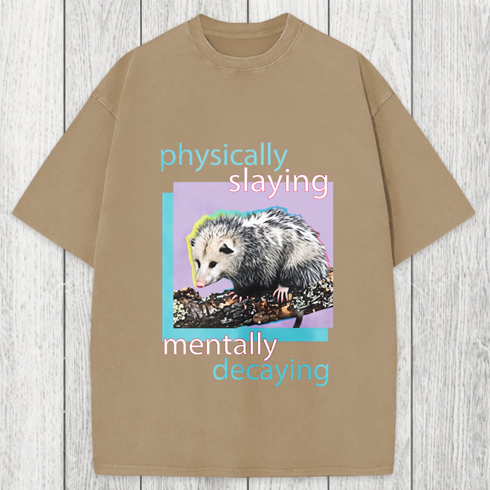 Tokyosol Physically Slaying Mentally Decaying Washed T-Shirt