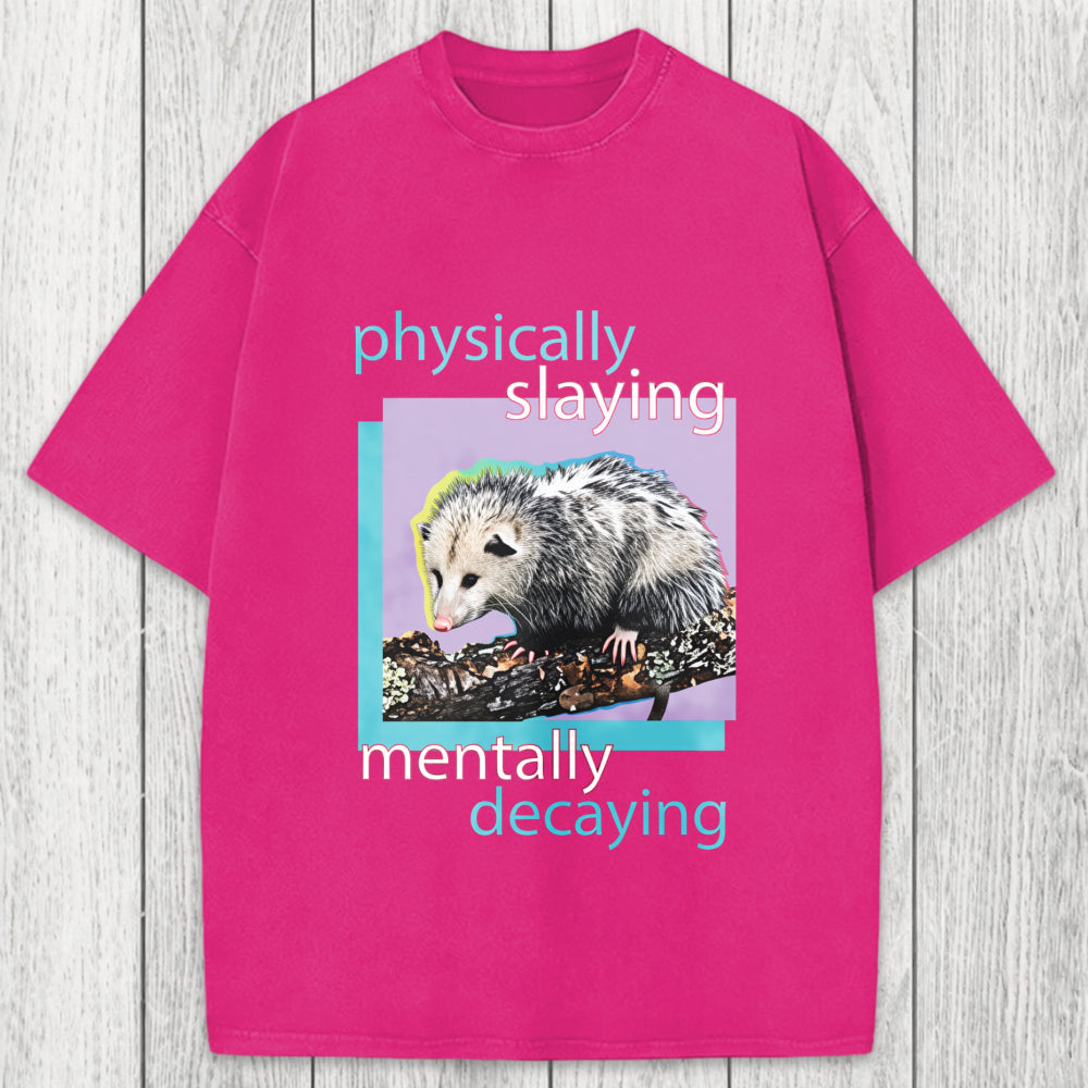 Tokyosol Physically Slaying Mentally Decaying Washed T-Shirt