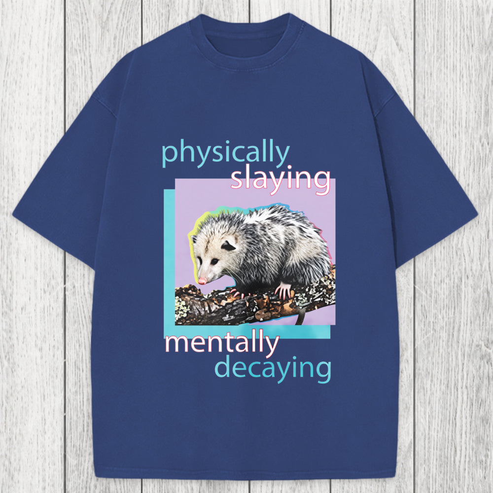 Tokyosol Physically Slaying Mentally Decaying Washed T-Shirt