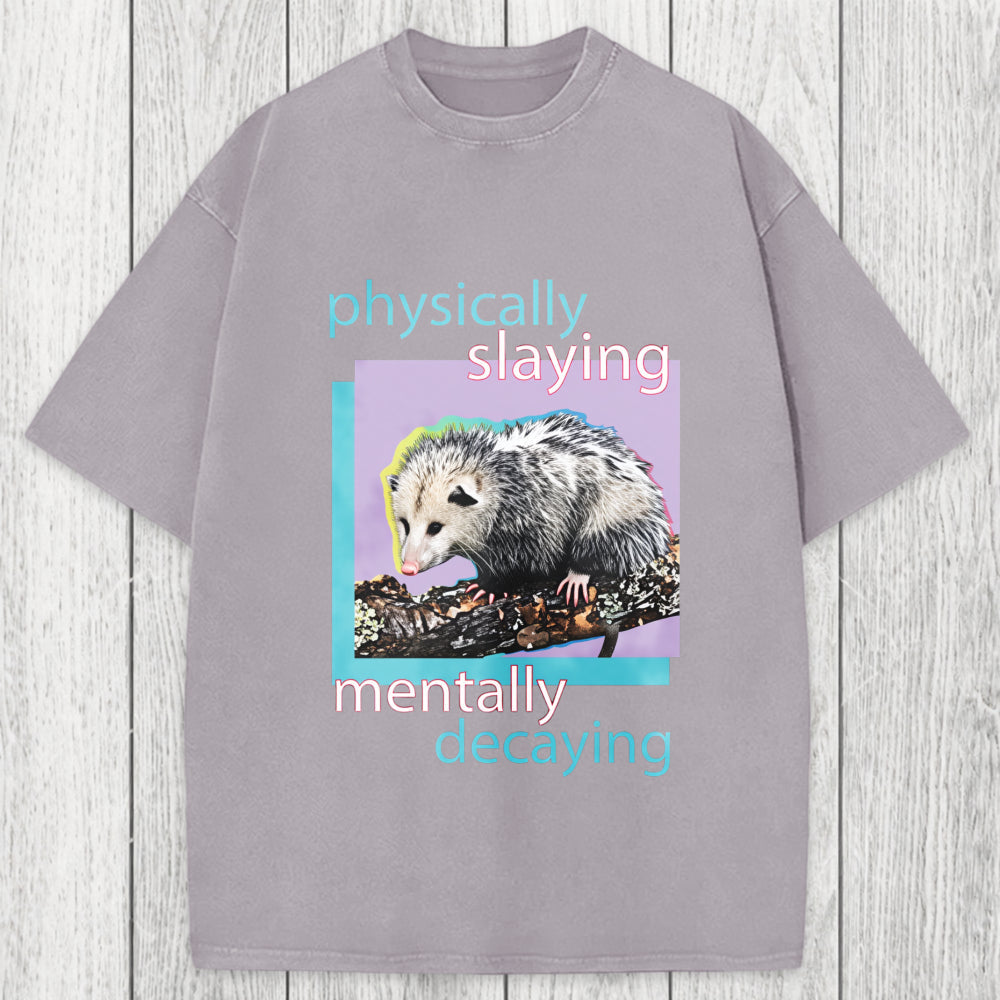 Tokyosol Physically Slaying Mentally Decaying Washed T-Shirt