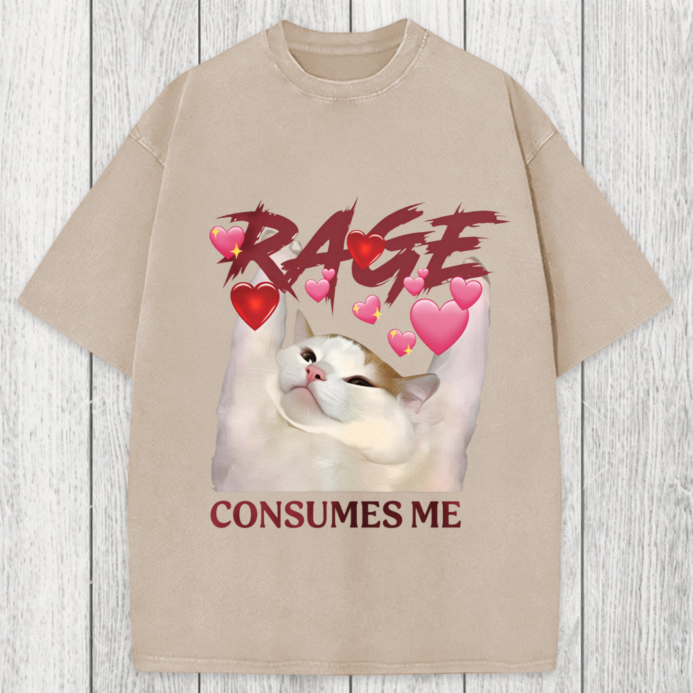 Tokyosol Rage Consumes Me Funny Cat Meme Washed T-Shirt