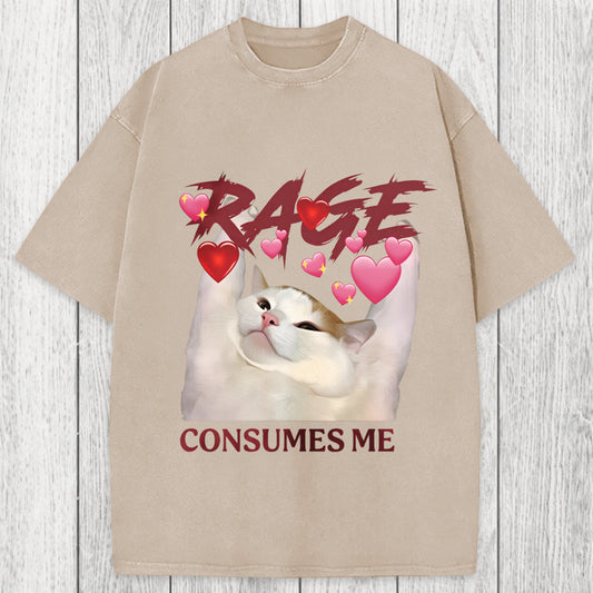 Tokyosol Rage Consumes Me Funny Cat Meme Washed T-Shirt