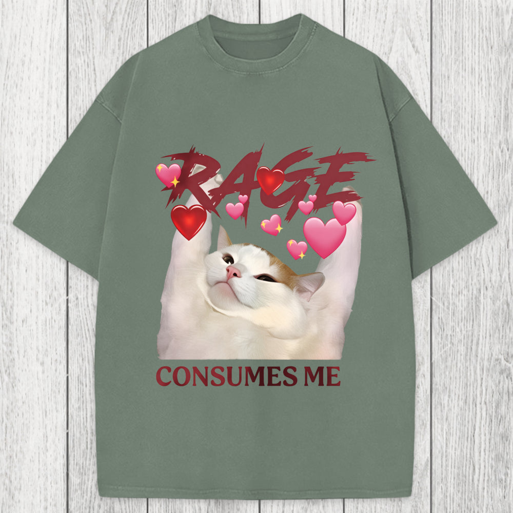 Tokyosol Rage Consumes Me Funny Cat Meme Washed T-Shirt