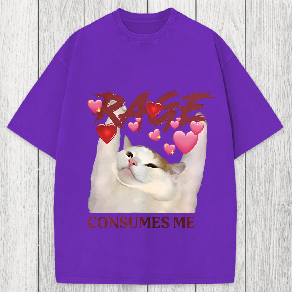 Tokyosol Rage Consumes Me Funny Cat Meme Washed T-Shirt